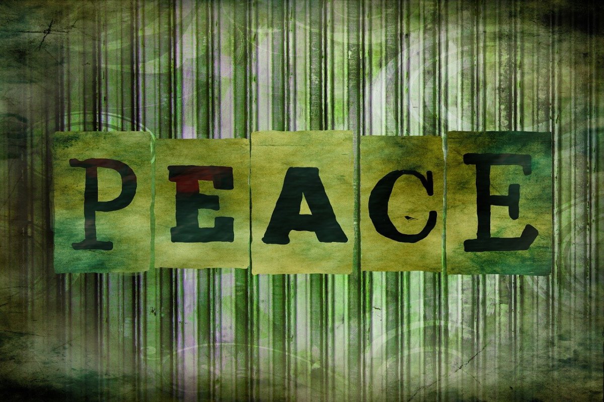 The Human Cost of Conflict: A Plea for Peace | O Custo Humano do Conflito: Um Apelo pela Paz